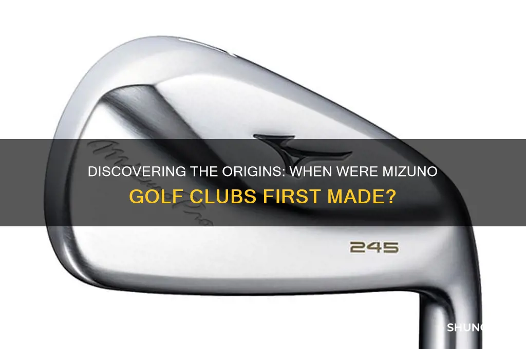 what year were mizuno golf clubs made