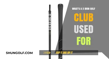 Mastering the 2 Iron: Uses, Techniques, and When to Swing