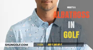 Albatross in Golf: Rare and Exceptional