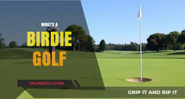 Golf Birdie Basics: Mastering the Under-Par Shot