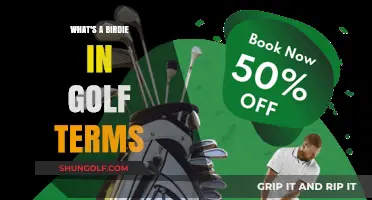 Understanding Birdie: A Beginner's Guide to Golf's Scoring Term