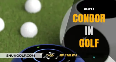 Golf's Condor: Rare Birdie or Eagle?