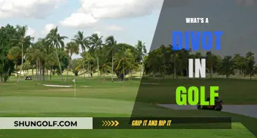 Golf Divots: What, Why, and How?