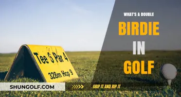 Understanding the Rare Double Birdie in Golf: Definition and Significance