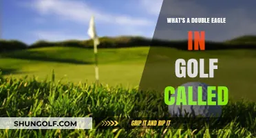 Understanding the Prestigious Double Eagle in Golf: What's It Called?