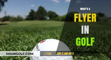 Golf's Flyer: A Beginner's Guide to the Perfect Swing