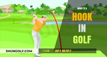 Golf's Hook: A Beginner's Guide to the Game