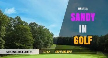 Golf's Sandy: How to Escape the Trap