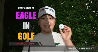 Golf's Elite Scores: Beyond the Eagle, What's the Next Level?