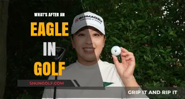 Beyond the Eagle: Exploring Golf's Rare and Prestigious Scores