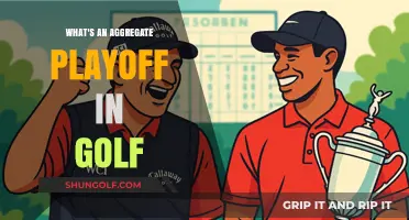 Understanding Golf's Aggregate Playoff Format: Rules, Strategy, and Excitement