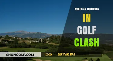 Understanding the Albatross: A Rare Golf Clash Achievement Explained