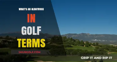 Understanding the Albatross: A Rare Golf Achievement Explained