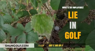 Understanding Unplayable Lies in Golf: Rules, Penalties, and Strategic Options