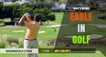 Golf's Rare Birdie: The Albatross