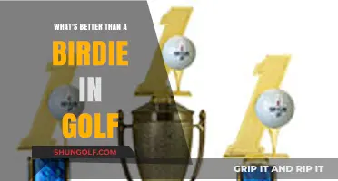 Beyond Birdies: Unlocking Golf's Ultimate Scoring Achievements and Joys