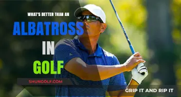 Golf's Rarest Feats: Surpassing the Albatross on the Course