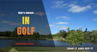 Golf's Chicago Rule: What, When, and Why