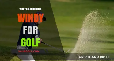 Golfing in Windy Conditions: When Does Wind Affect Play?