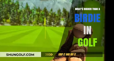 Golf Scoring Beyond Birdie: Exploring the Eagle, Albatross, and More