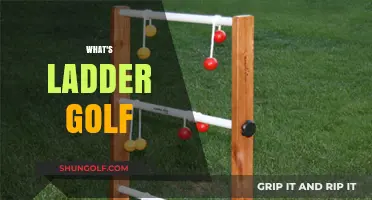The Fun Outdoor Game: Ladder Golf