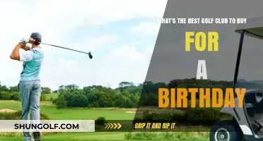 Perfect Birthday Gift: Top Golf Club Recommendations for Every Golfer