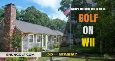 Why the Duck in Wii Bingo Golf? Unraveling the Mystery