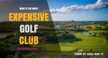 The World's Priciest Golf Club: A Luxurious Swing Investment