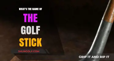 Unraveling the Mystery: What's the Name of That Golf Stick?
