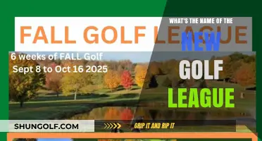 Discover the Exciting Name of the New Golf League Launching Soon