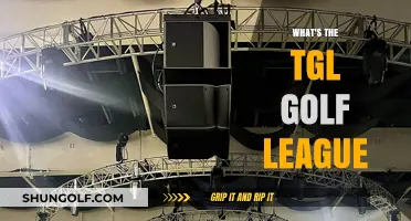 The Future of Golf: TGL Golf League