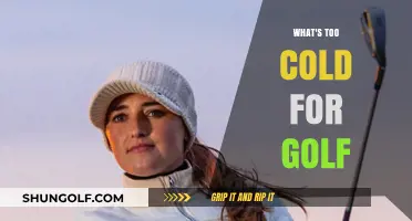 When It's Too Cold to Golf