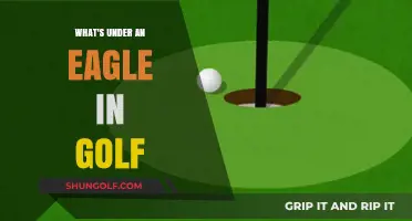 Unveiling Golf's Eagle: What Lies Beneath the Prestigious Score