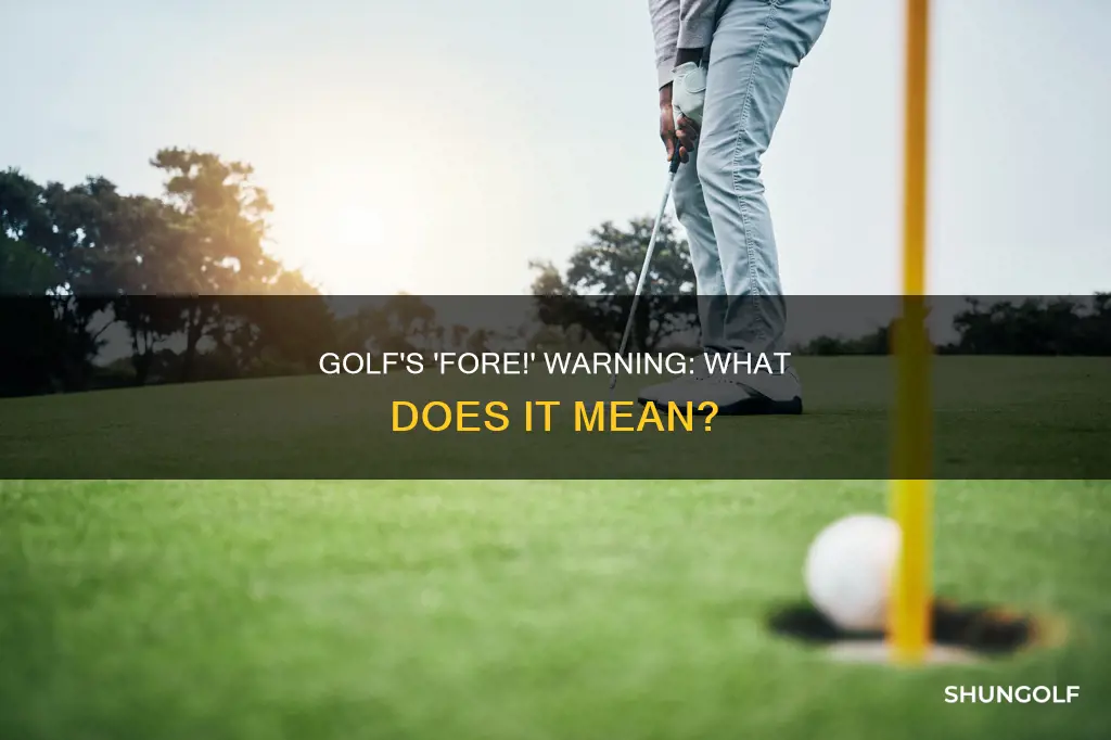 when a golfer says fore
