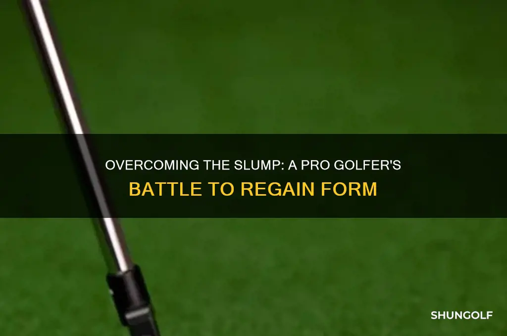 when a professional golfer continued to struggle
