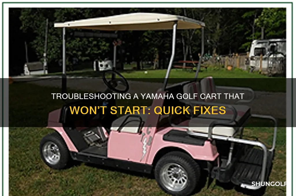 when a yamaha golf kart doesnt run
