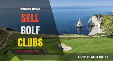 Amway's Golf Club Venture: A Look Back at Their Sales History