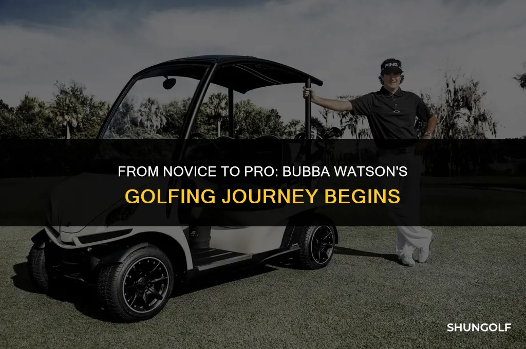 when did bubba watson start golfing
