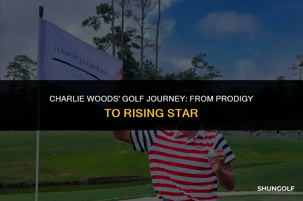 when did charlie woods start golf