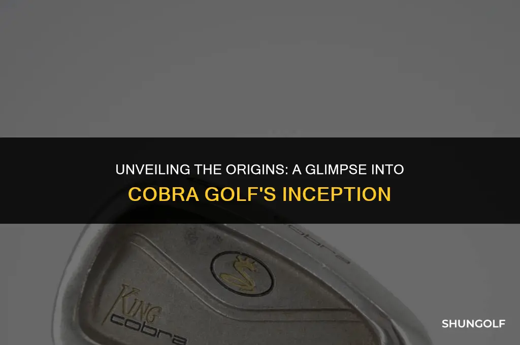 when did cobra golf start