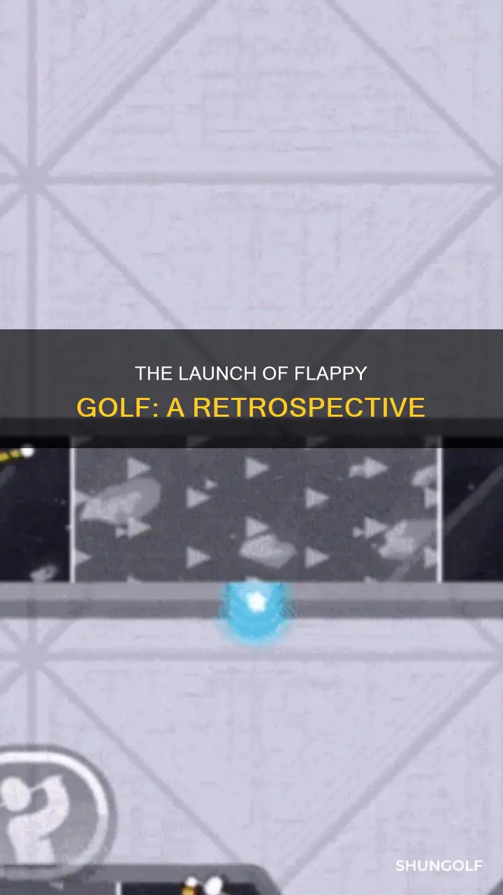 when did flappy golf come out