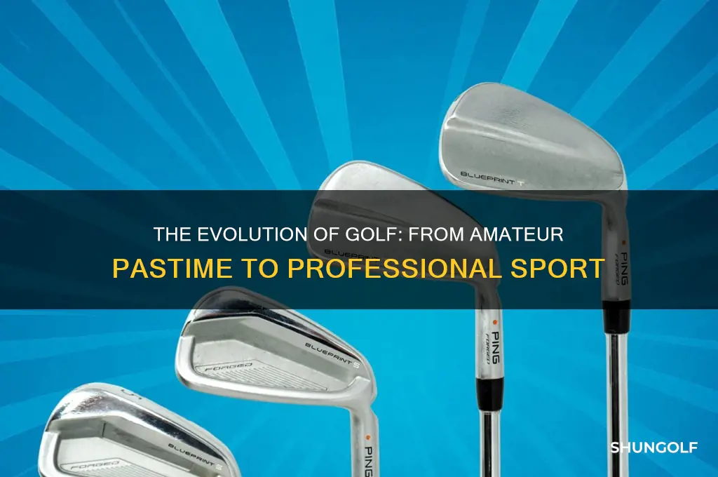 when did golf become a professional sport