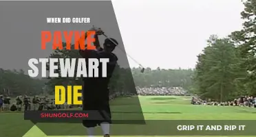 Payne Stewart's Tragic End: A Fateful Flight