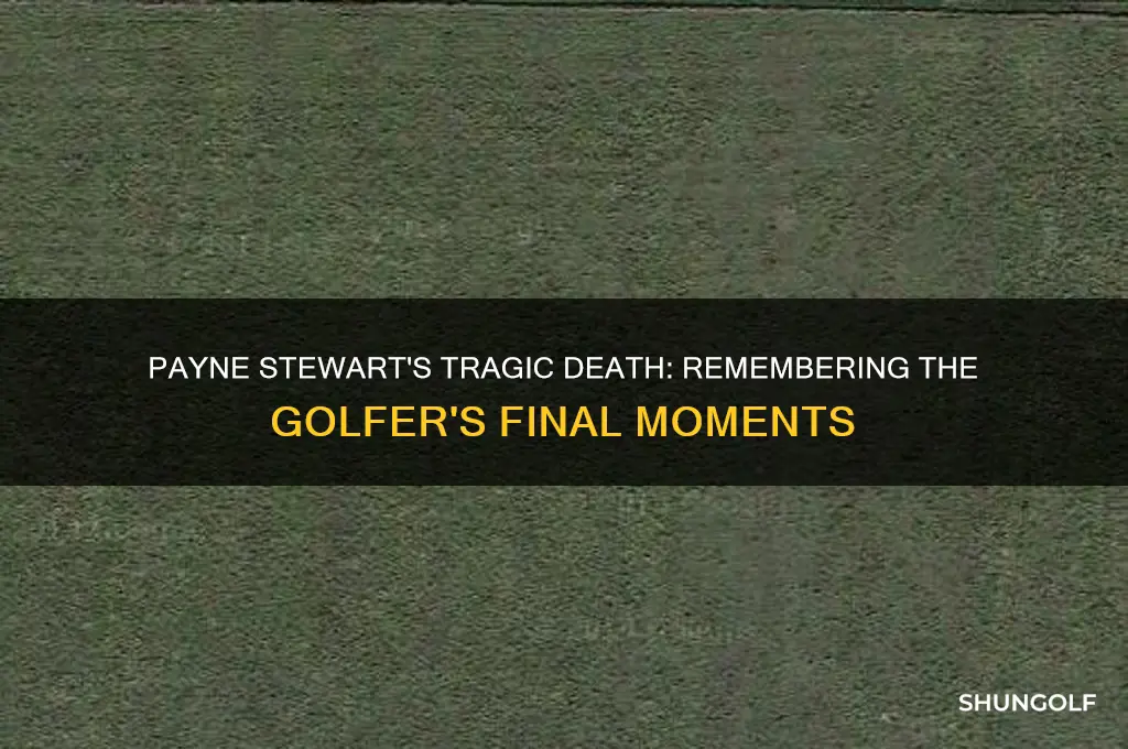 when did payne stewart the golfer die