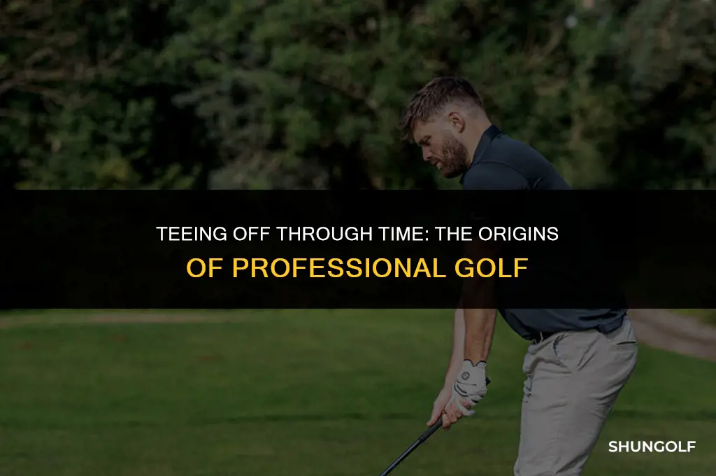 when did pro golf start