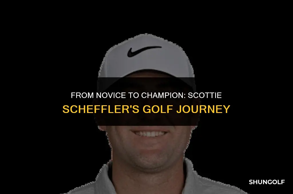 when did scottie scheffler start golf
