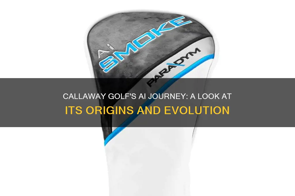 when did the ai journey begin for callaway golf company