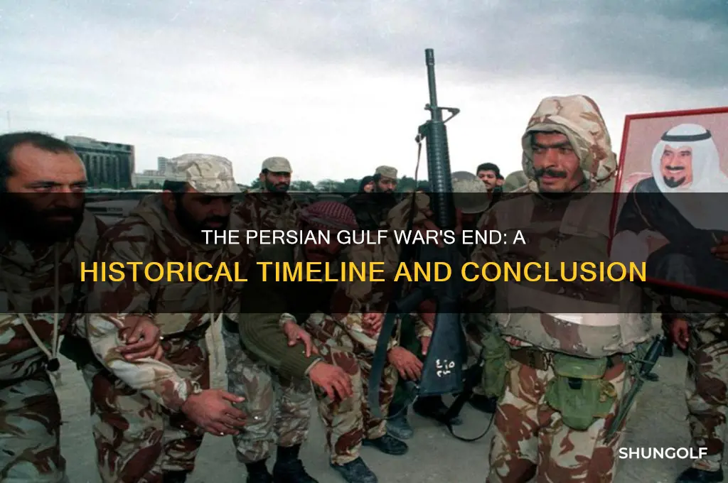 when did the persian golf war end