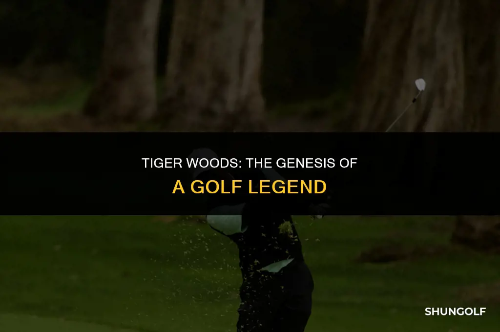 when did tiger start his golf career
