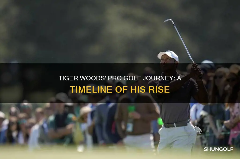 when did tiger woods became a pro golfer